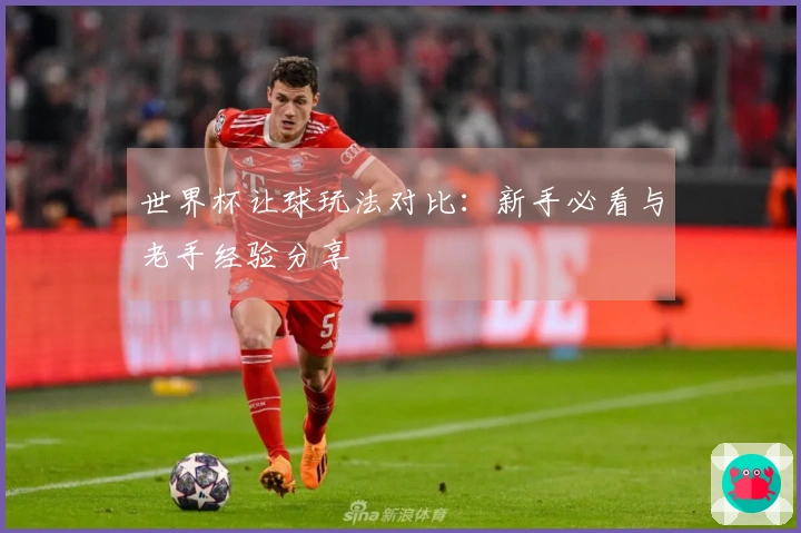 世界杯让球玩法对比：新手必看与老手经验分享