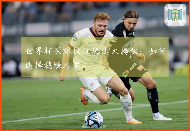 世界杯买球投注玩法大揭秘，如何选择稳赚方案？