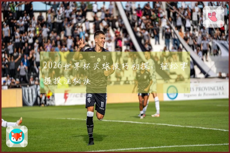 2026世界杯买球技巧初探，轻松掌握投注秘诀