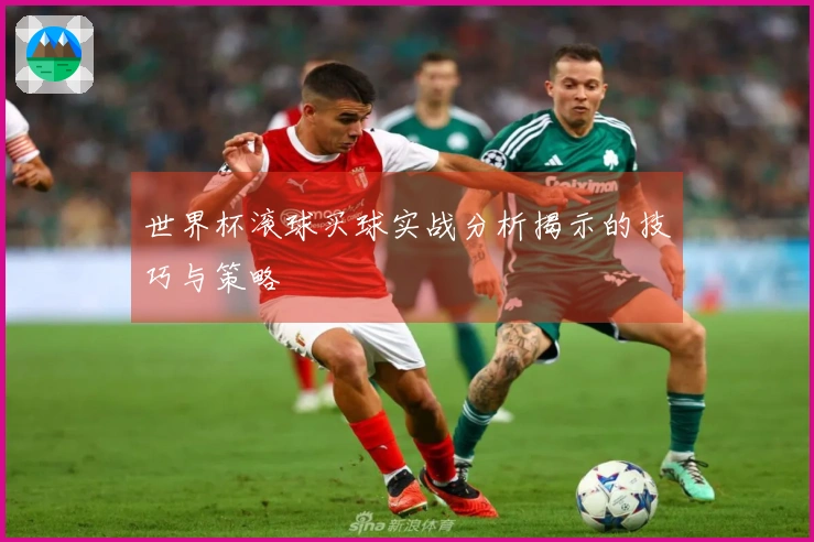 世界杯滚球买球实战分析揭示的技巧与策略