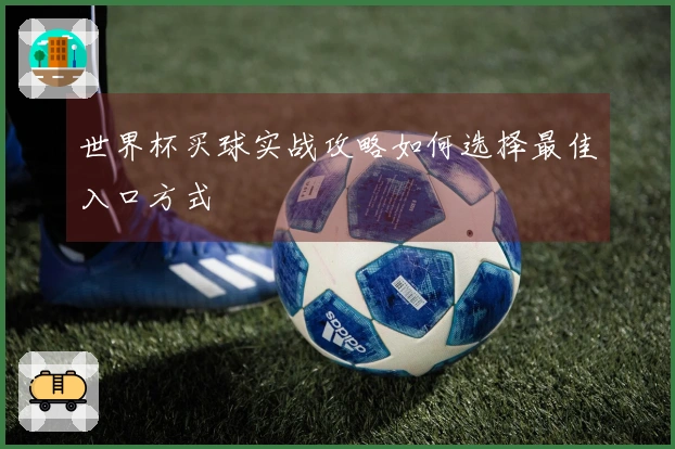 世界杯买球实战攻略如何选择最佳入口方式