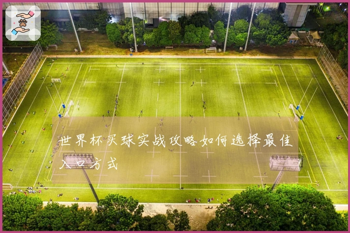 世界杯买球实战攻略如何选择最佳入口方式