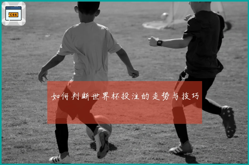 如何判断世界杯投注的走势与技巧