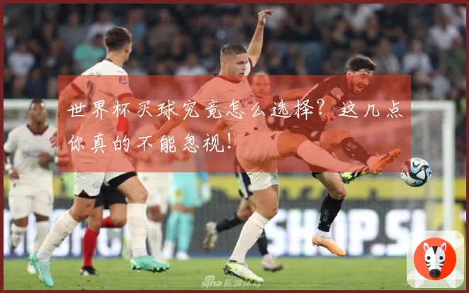 世界杯买球究竟怎么选择？这几点你真的不能忽视！