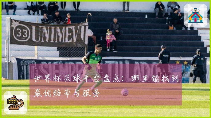 世界杯买球平台盘点：哪里能找到最优赔率与服务
