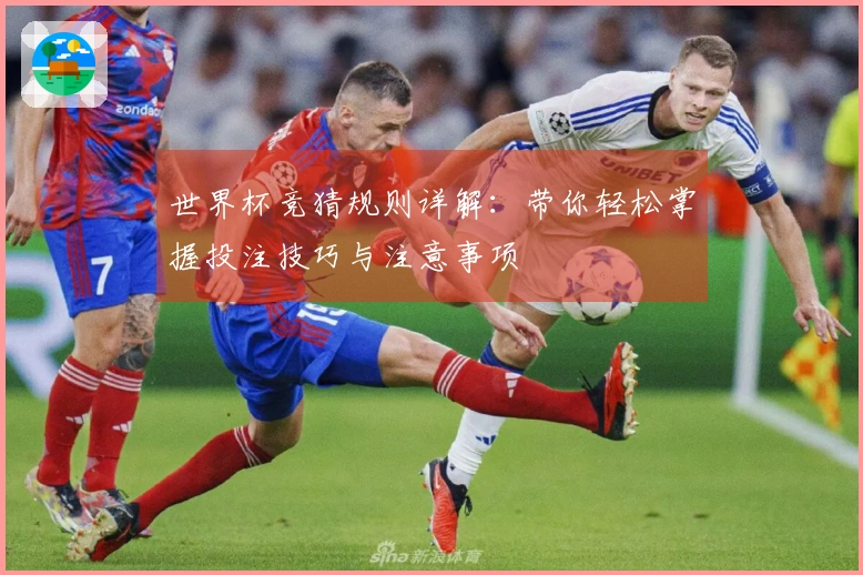 世界杯竞猜规则详解：带你轻松掌握投注技巧与注意事项