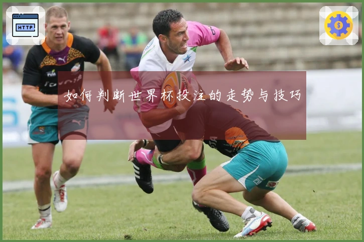 如何判断世界杯投注的走势与技巧