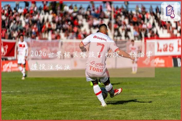 2026世界杯买球技巧初探，轻松掌握投注秘诀